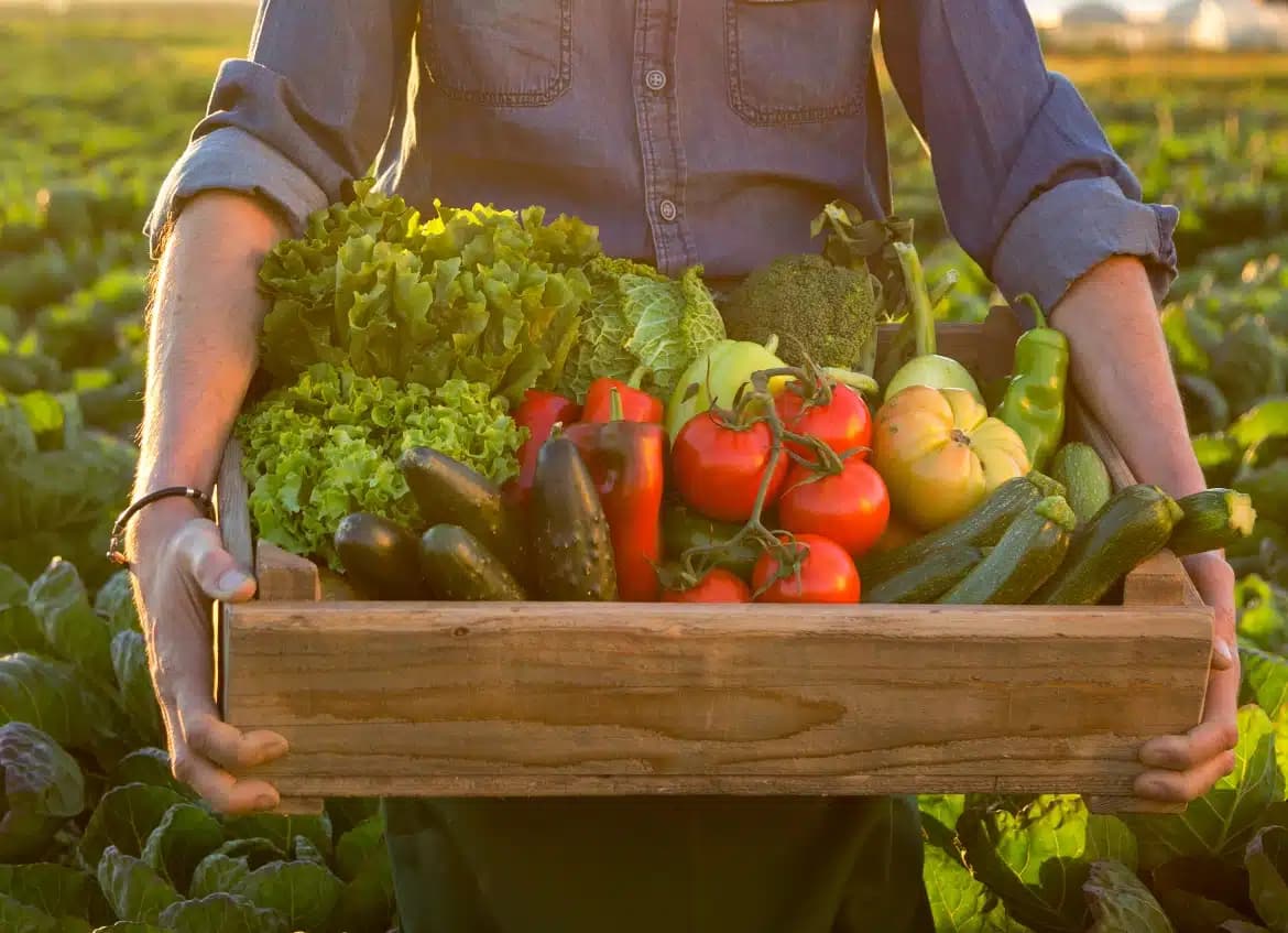 Farmer holding a wooden crate of fresh vegetables